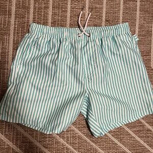 Aqua Striped Men's Swim Trunks